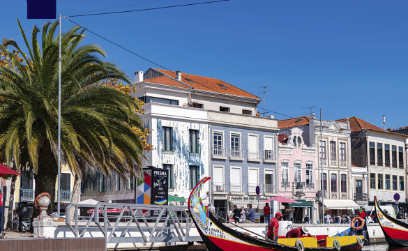 BLOG-PDE (3)